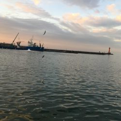 餌なしサビキ釣り